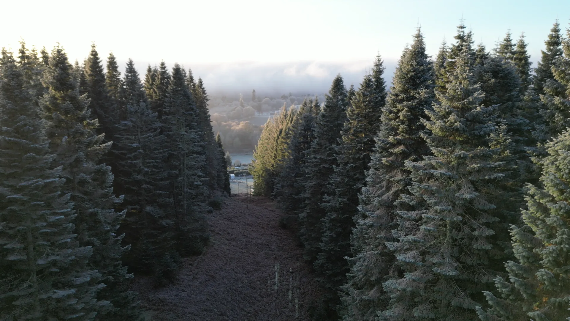 Road trip en Écosse